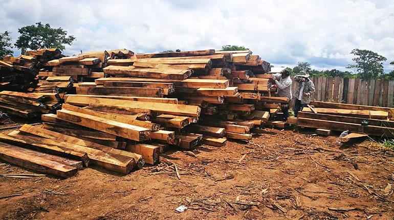 Madera